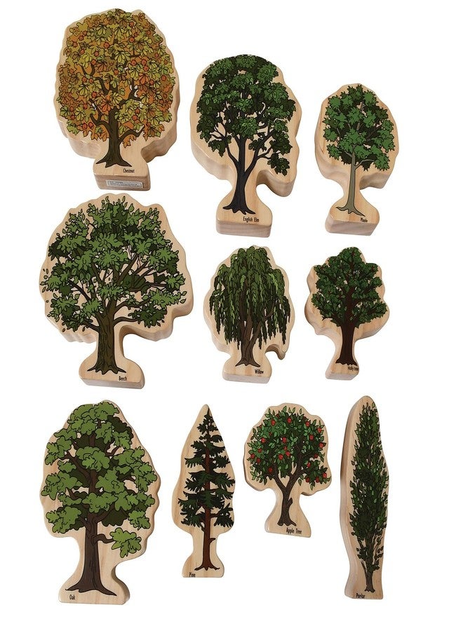 The Freckled FROG-FF472 Trees of All Seasons - Set of 10 - Ages 2+ - Wooden Tree Blocks for Toddlers - Includes Different Tree Species in Winter, Summer, Autumn and Spring - Double-Sided - Image 2